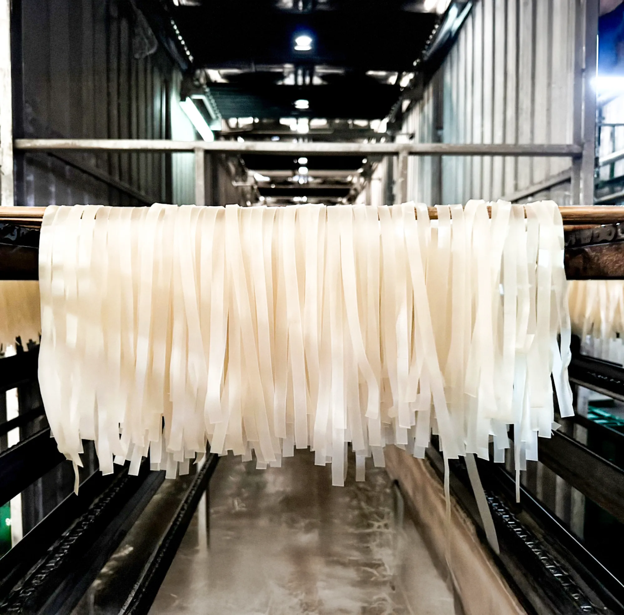 Noodles factory